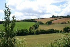 St Davids Park, Paignton