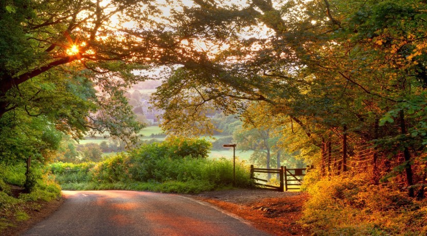 Wooded English country lane at sunset